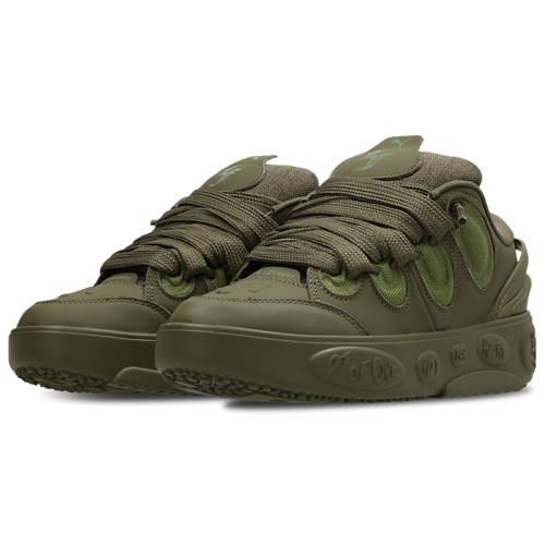 Puma LaFrance Oak Tree