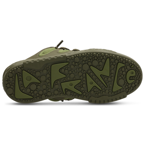 Puma LaFrance Oak Tree