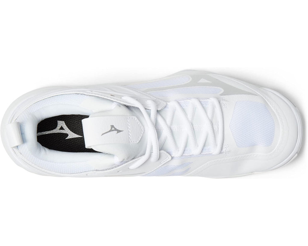 Men's Mizuno Wave Momentum 2 White/Silver