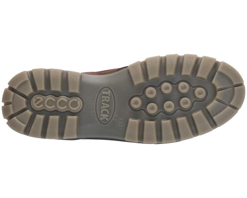 Men's ECCO Sport Track 25 GORE-TEX® Shoe Bison/Bison