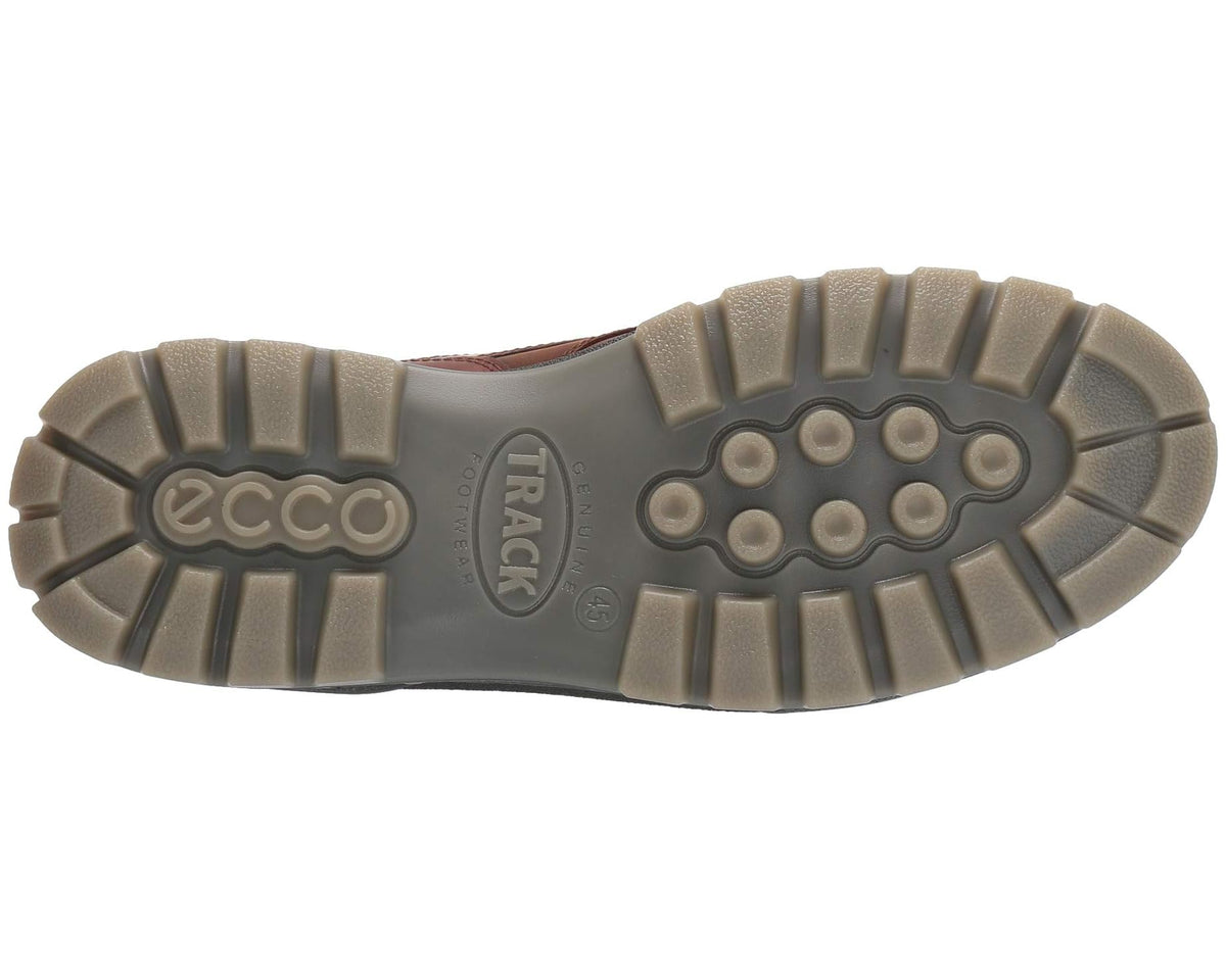 Men's ECCO Sport Track 25 GORE-TEX® Shoe Bison/Bison